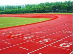 塑胶跑道